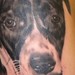 tattoo galleries/ - Dog Portrait Tattoo
